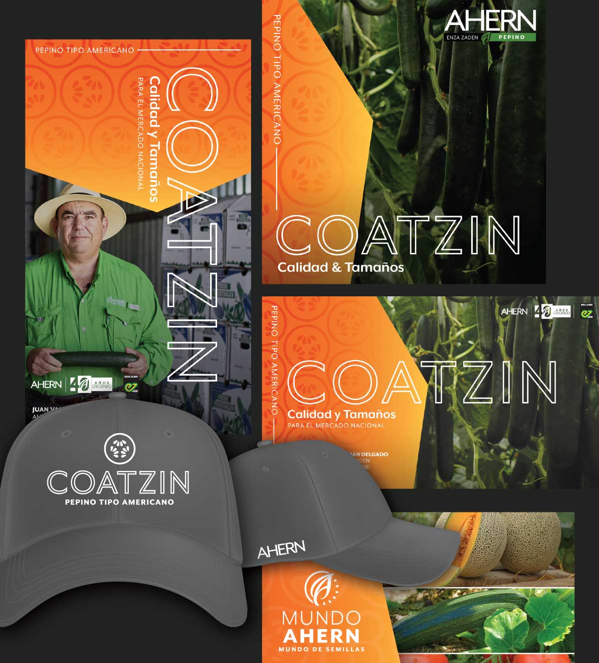 Ahern seeds graphics and hat mockup promoting coatzin